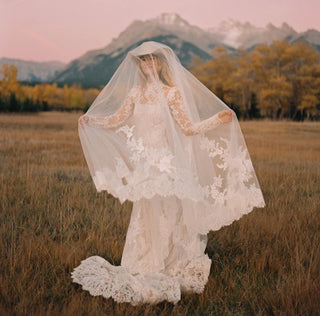 V-2877 Veil-Veils-Pronovias-Rituals of Love-Vancouver Canada