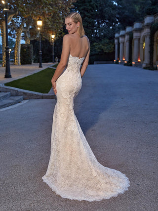 Geramy Gown-Sample Wedding Gowns-Pronovias Privee-Rituals of Love-Vancouver Canada