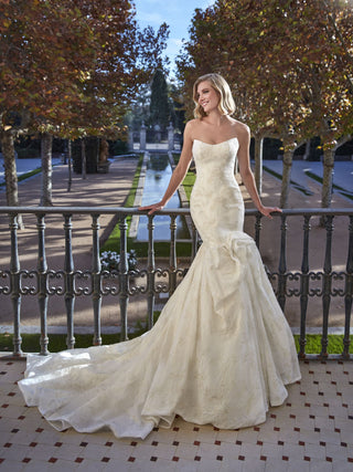 Beegold Gown-Wedding Gowns-Pronovias Privee-Rituals of Love-Vancouver Canada