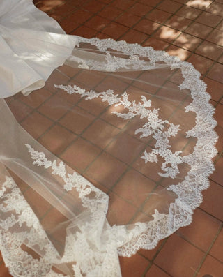 V-2877 Veil-Veils-Pronovias-Rituals of Love-Vancouver Canada