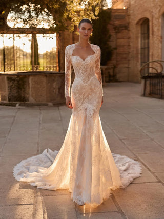 Alphey Gown-Wedding Gowns-Pronovias Privee-Rituals of Love-Vancouver Canada