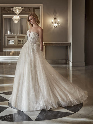 Alisette Gown-Sample Wedding Gowns-Pronovias Privee-Rituals of Love-Vancouver Canada