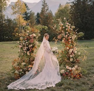 V-2877 Veil-Veils-Pronovias-Rituals of Love-Vancouver Canada