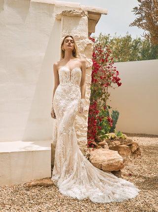 Hart Gown-Sample Wedding Gowns-Pronovias-Rituals of Love-Vancouver Canada