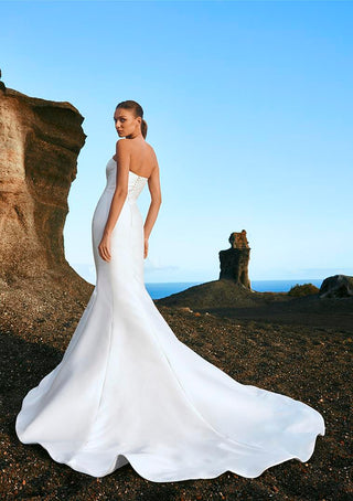 Mayon Gown-Sample Wedding Gowns-Pronovias-Rituals of Love-Vancouver Canada