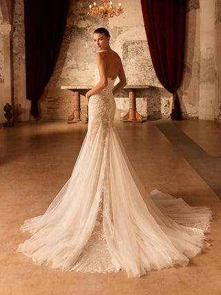 Sagey Gown-Wedding Gowns-Pronovias Privee-Rituals of Love-Vancouver Canada