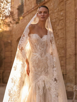 Alphey Gown-Wedding Gowns-Pronovias Privee-Rituals of Love-Vancouver Canada