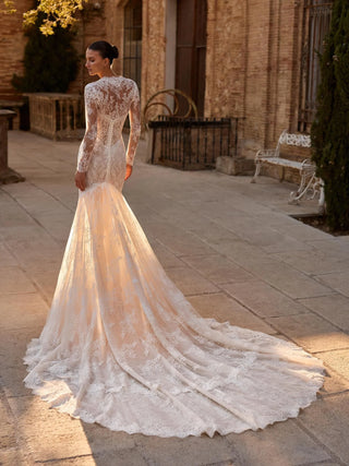 Alphey Gown-Wedding Gowns-Pronovias Privee-Rituals of Love-Vancouver Canada