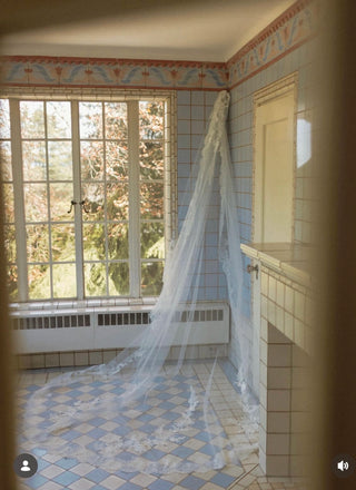 V-2877 Veil-Veils-Pronovias-Rituals of Love-Vancouver Canada