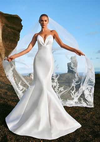 Mayon Gown-Sample Wedding Gowns-Pronovias-Rituals of Love-Vancouver Canada